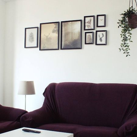 Centrico Y Luminoso Apartamento En Malaga Capital Zewnętrze zdjęcie